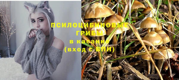 а пвп мука Надым