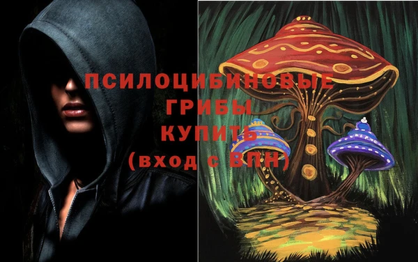 крисы Наволоки