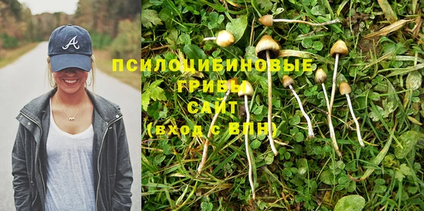а пвп мука Надым