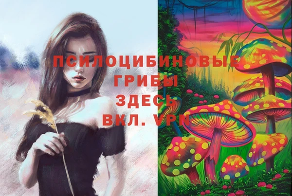 амф Навашино