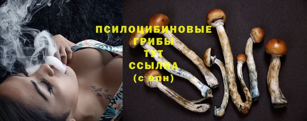 а пвп мука Надым