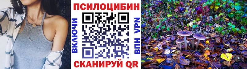 Галлюциногенные грибы Cubensis  Тайга 